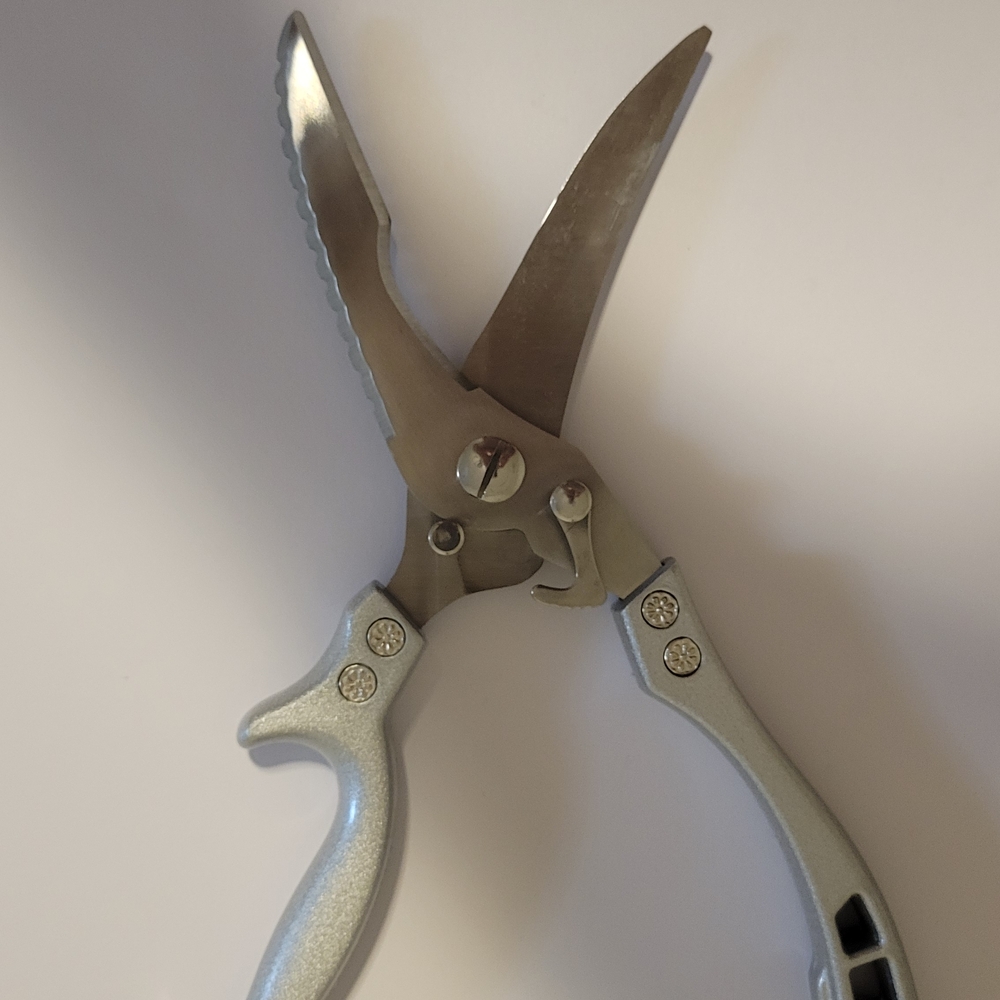 Scissors - Picture 4 of 9